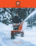 Ariens Winter Promotions