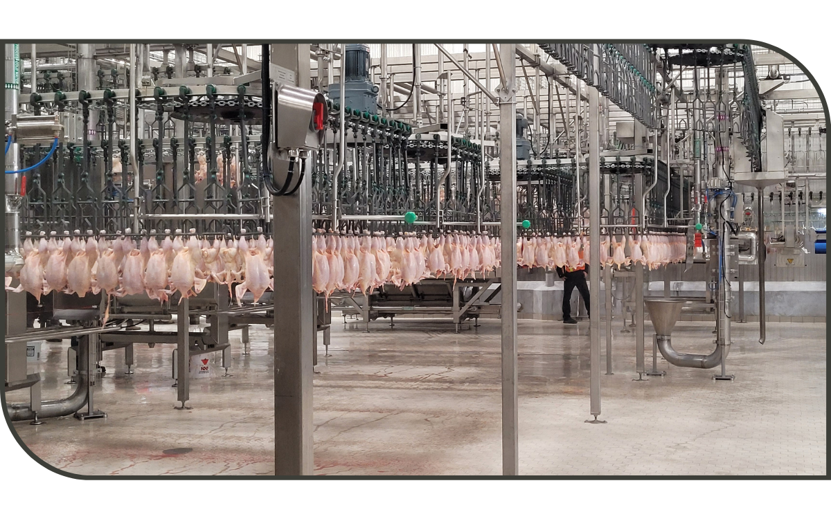 CIMCO - Maple Leaf Foods London 