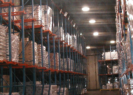 Logistics & Distribution