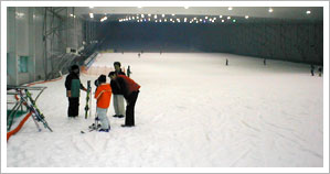 Ice Skating Rink