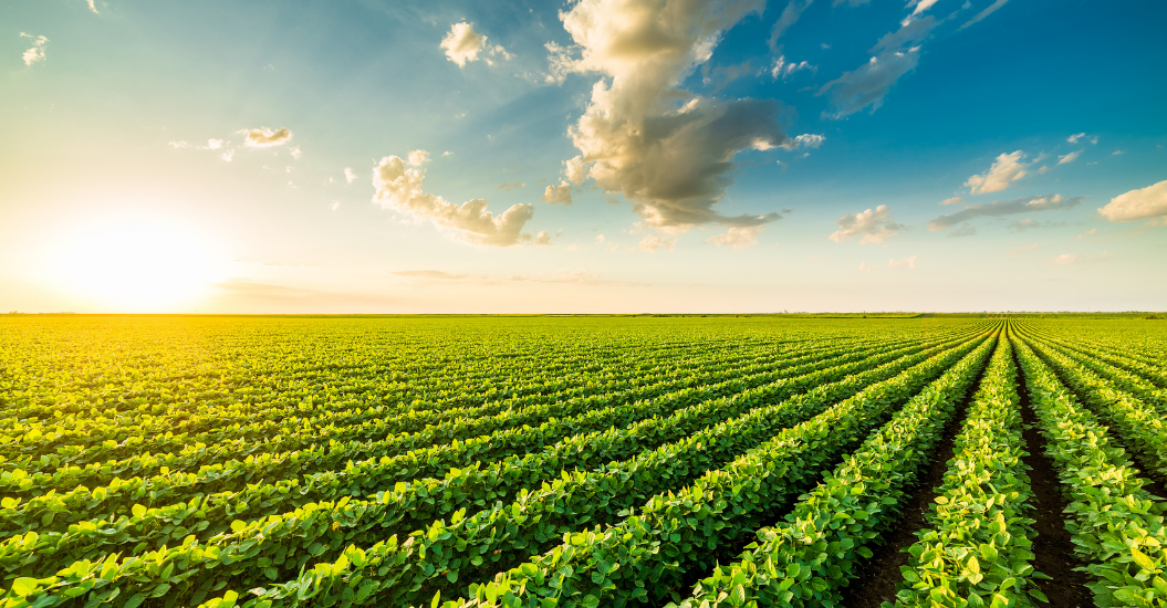 UNE CHAÎNE AGROALIMENTAIRE CARBONEUTRE