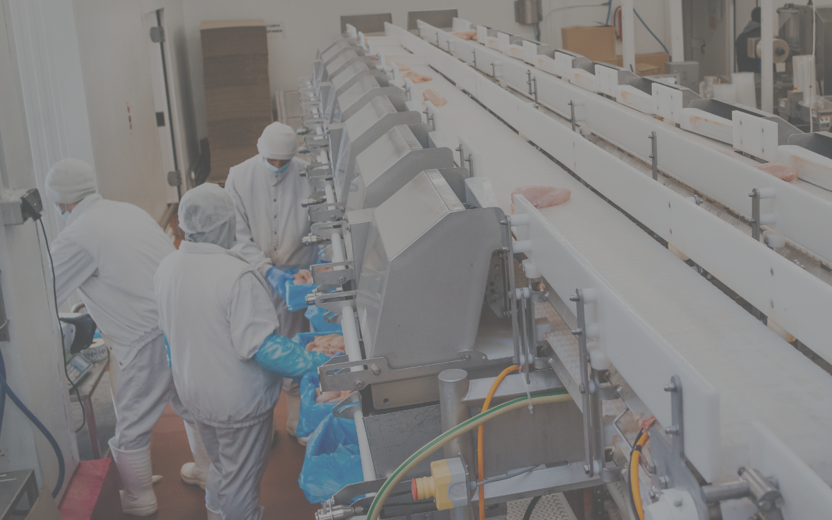 Maple Leaf Foods London - CIMCO