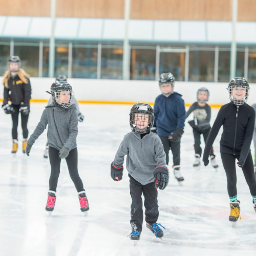 Ice rink and community arena infrastructure