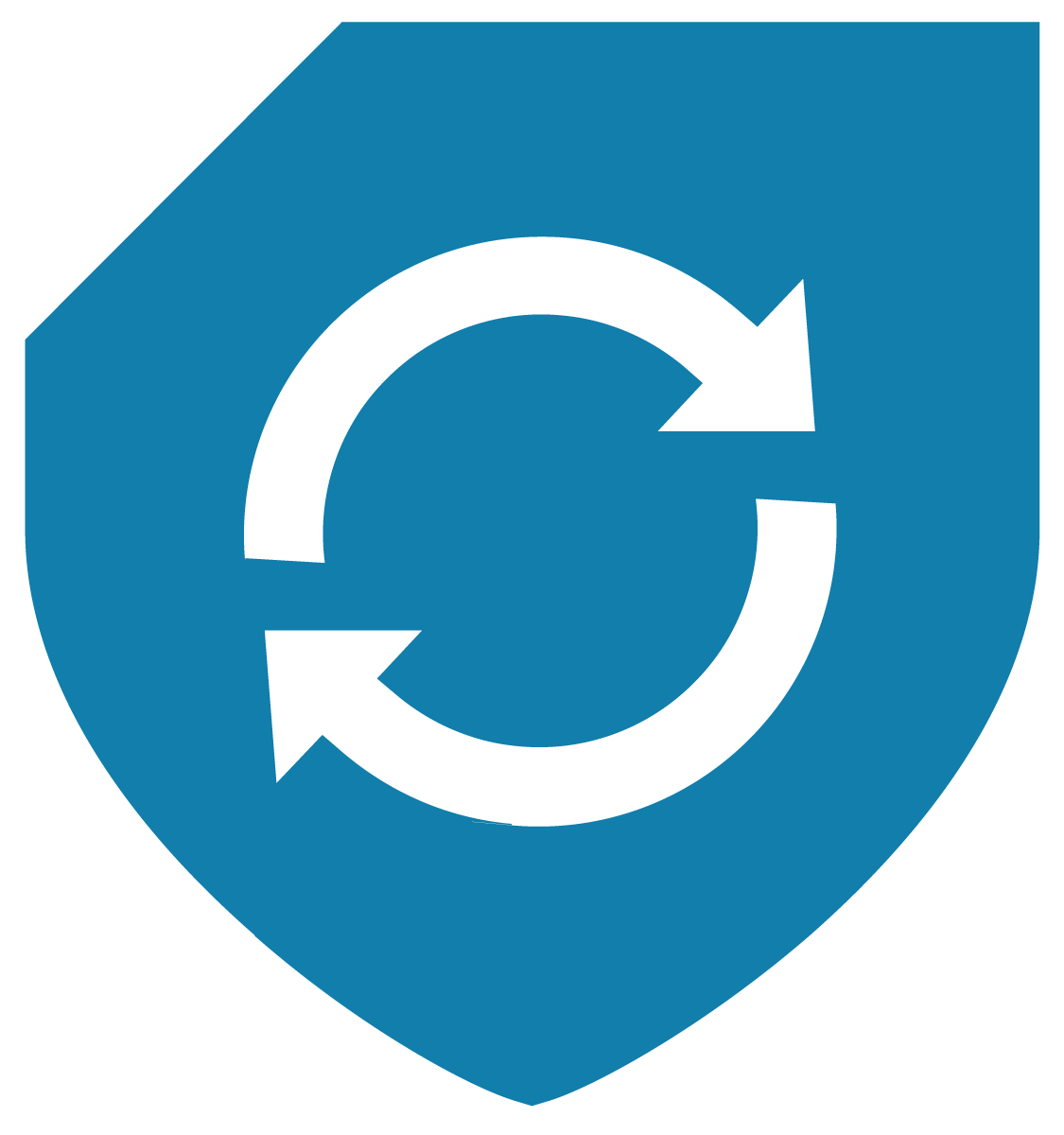 Replace icon