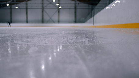 Rink Check-Up