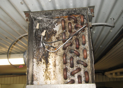 dirty evaporator with black mold