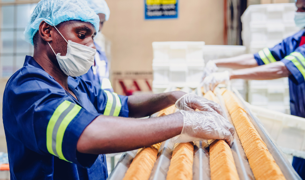 Food and Beverage Industry