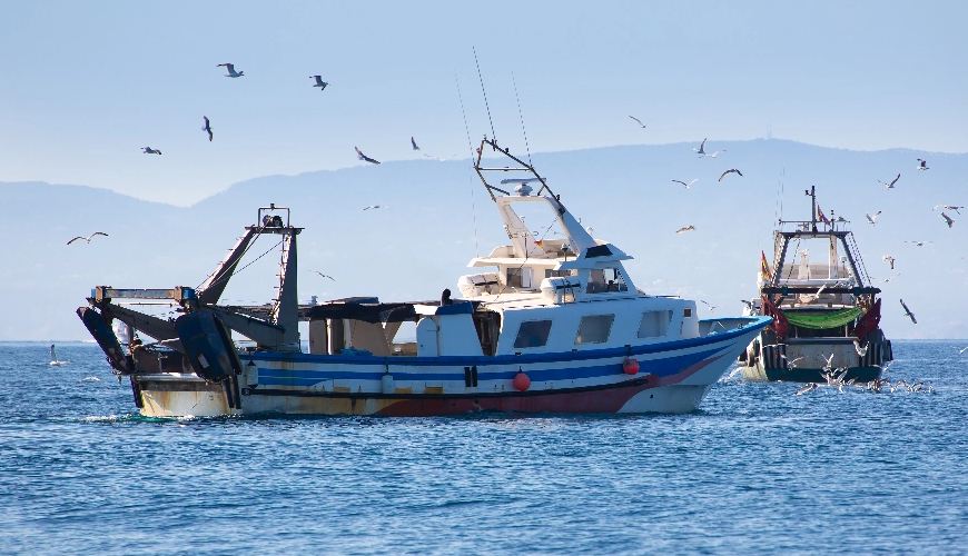 fishing-boats