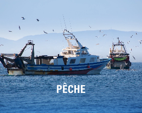 Pêche